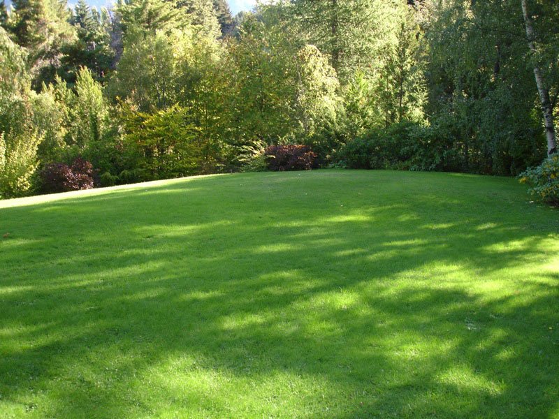 Proyecto de jardinería 14